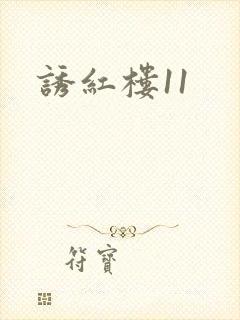 诱红楼11