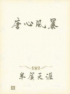 唐心风暴