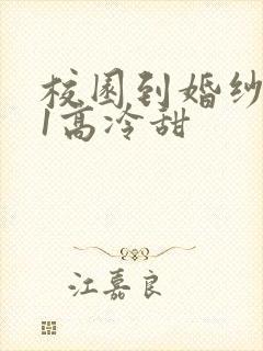 校园到婚纱1V1高冷甜