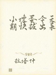 小坏蛋今天危险期快拔出来