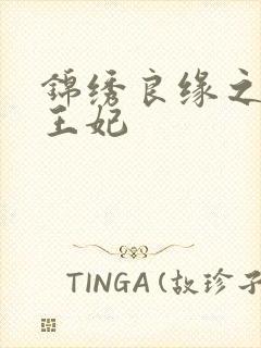 锦绣良缘之北地王妃