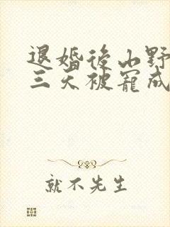 退婚后山野糙汉三天被宠成宝小说