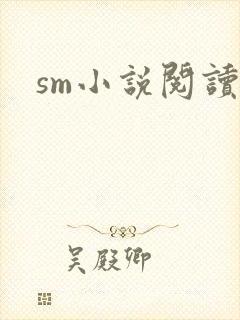 sm小说阅读