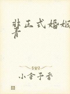 非正式婚姻雾里青