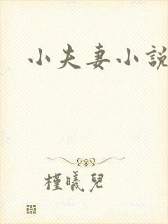 小夫妻小说