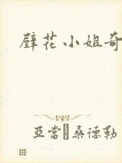 壁花小姐奇遇记