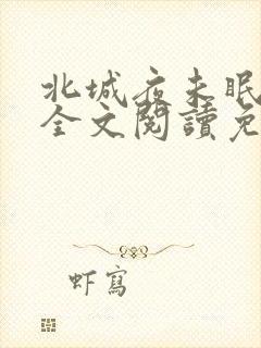 北城夜未眠小说全文阅读免费