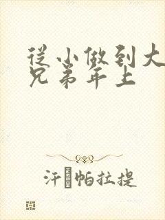 从小做到大骨科兄弟年上