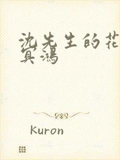 沈先生的花式调冥鸿