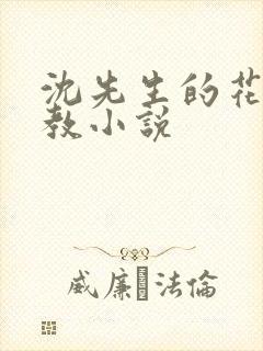 沈先生的花式调教小说