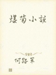 爆菊小说