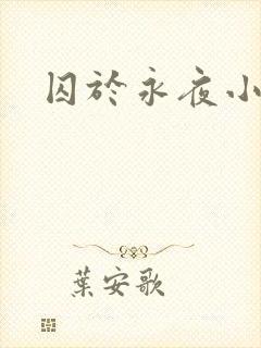 囚于永夜小说