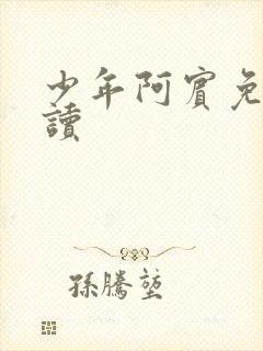 少年阿宾免费阅读