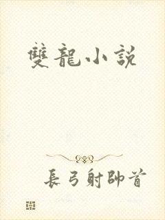 双龙小说