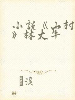 小说《山村情事》林大牛