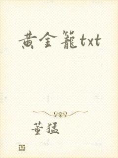 黄金笼txt