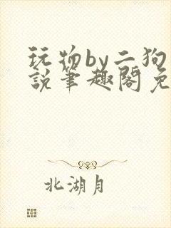 玩物by二狗小说笔趣阁免费阅读