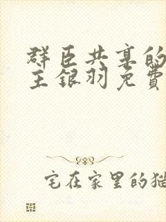 群臣共享的小公主银羽免费阅读