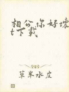 相公你好坏txt下载
