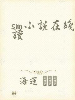 sm小说在线阅读