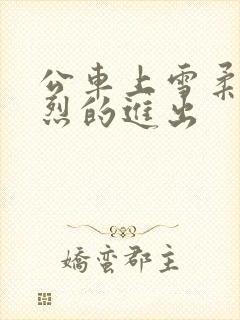 公车上雪柔被猛烈的进出