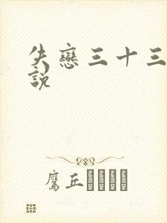 失恋三十三天小说