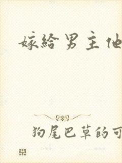 嫁给男主他爸爸