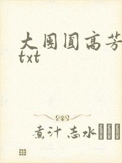 大团圆高芳小说txt