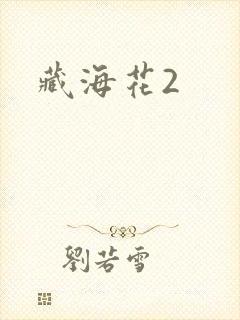 藏海花2
