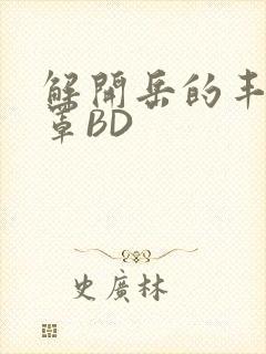 解开岳的丰满奶罩BD