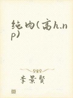 纯肉(高h.np)