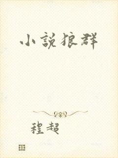小说狼群