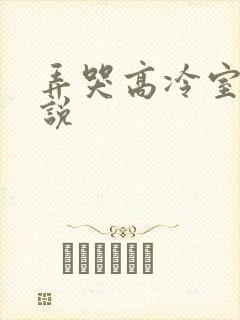 弄哭高冷室友小说
