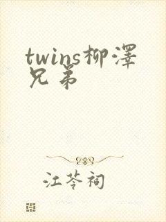 twins柳泽兄弟