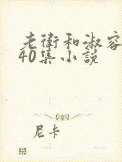 老卫和淑容1-40集小说