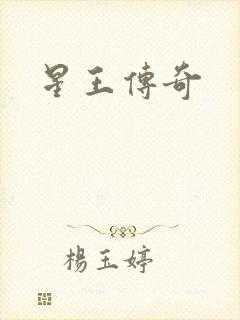星王传奇