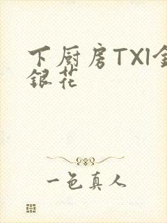 下厨房TXl金银花