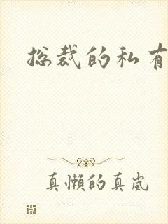 总裁的私有宝贝