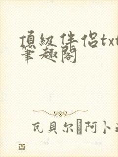 顶级伴侣txt笔趣阁