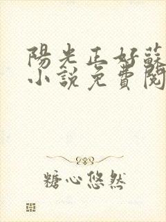 阳光正好苏玥玥小说免费阅读无弹窗