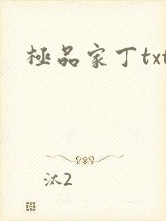 极品家丁txt