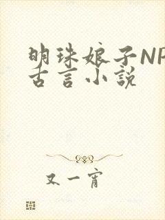 明珠娘子NPC古言小说