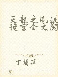 天龙之风流猎艳后宫全文阅读