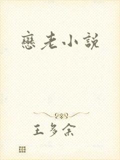 恋老小说