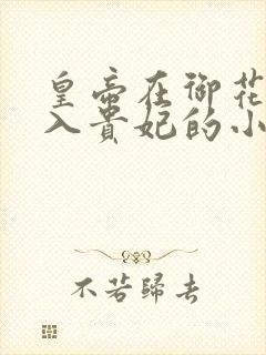 皇帝在御花园进入贵妃的小说