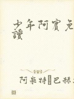少年阿宾免费阅读