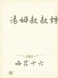 汤姆叔叔转接口