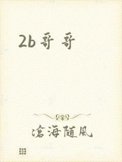 2b哥哥