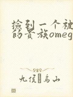 捡到一个被抹布的贵族omega