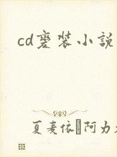 cd变装小说
